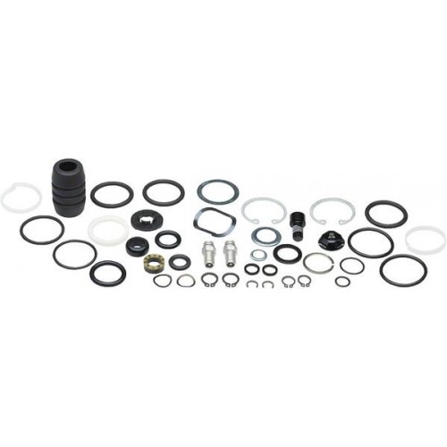 Сальники RockShox Service Kit - 2010 Boxxer World Cup, 11.4015.388.000